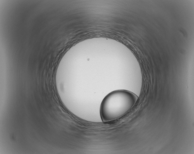 X0000111920613200907271010