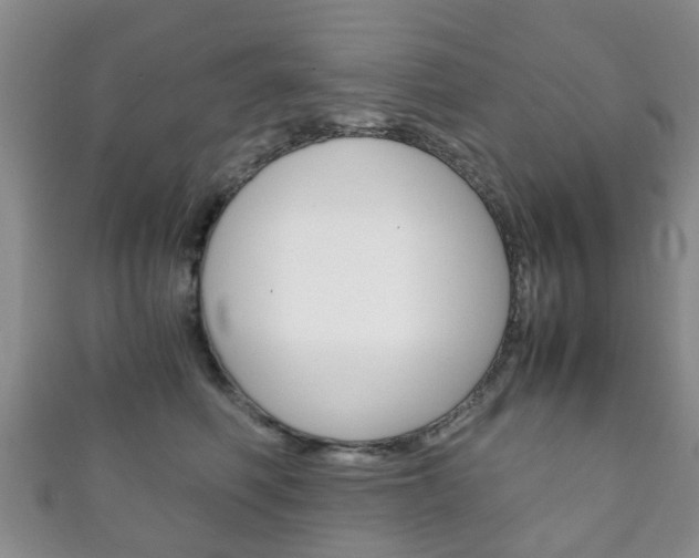 X0000111920614200907271010