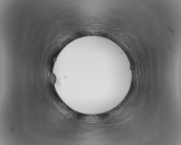 X0000111920615200907271010