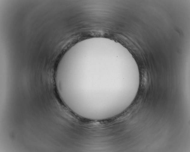 X0000111920616200907271010