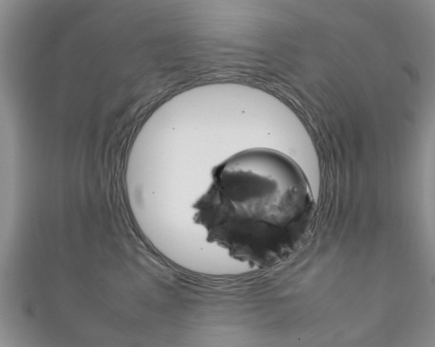X0000111920617200907271010