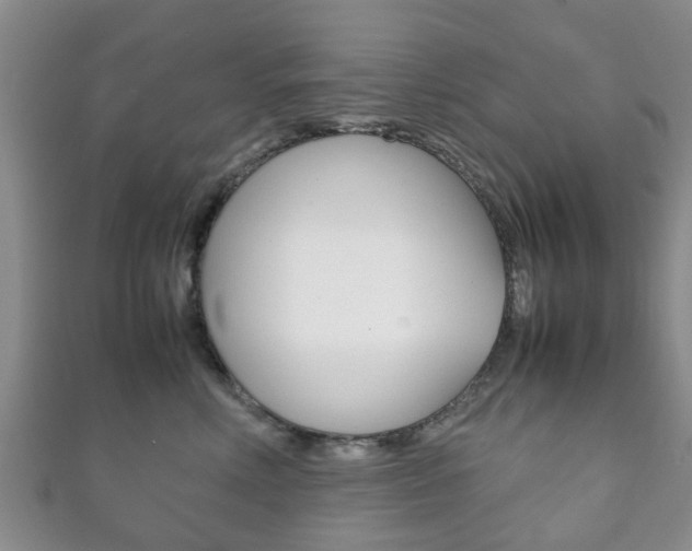 X0000111920618200907271010