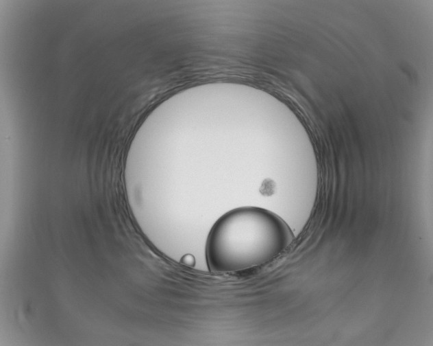 X0000111920621200907271010