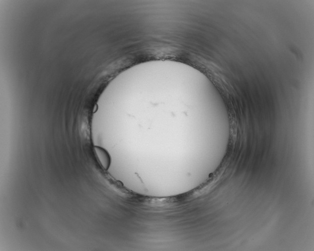 X0000111920622200907271010