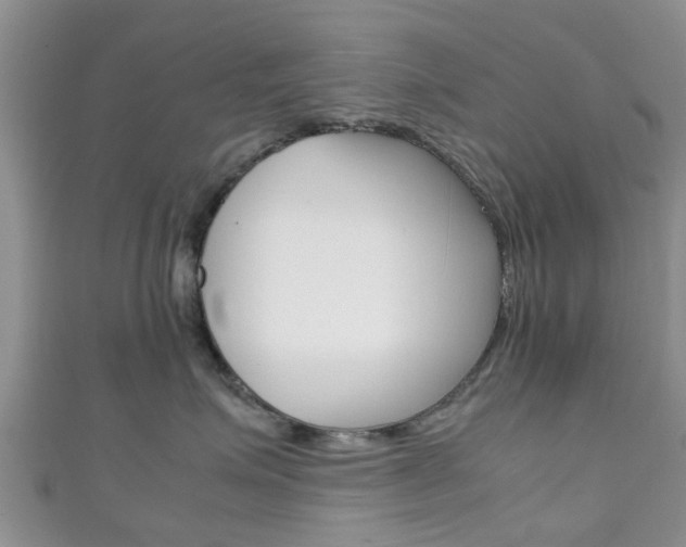 X0000111920623200907271010