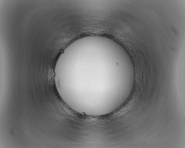 X0000111920624200907271010