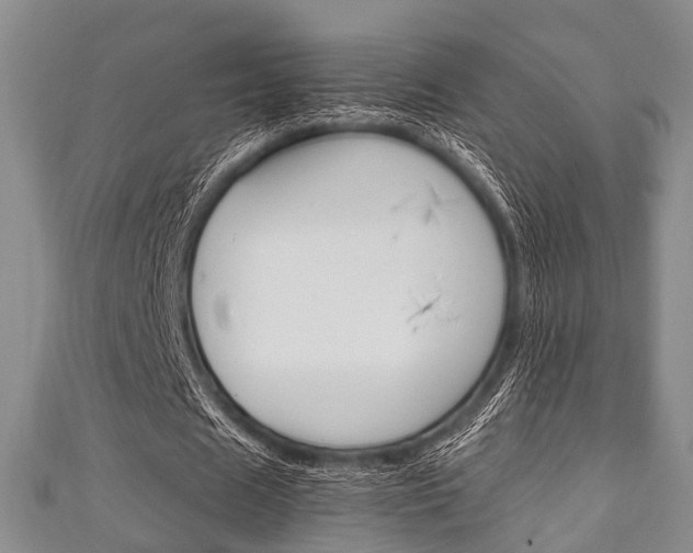 X0000111920625200907271010