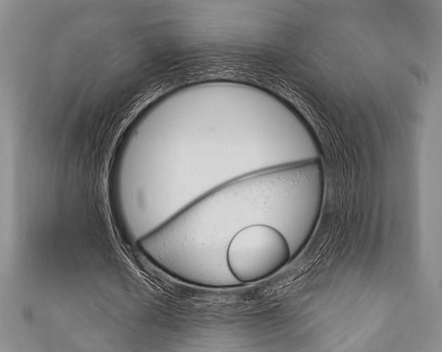 X0000111920626200907271010