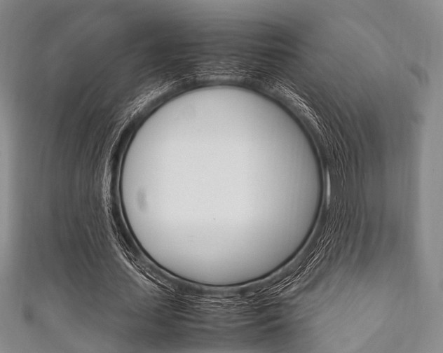 X0000111920627200907271010