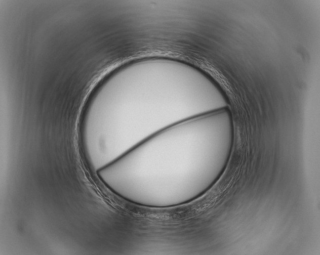 X0000111920628200907271010