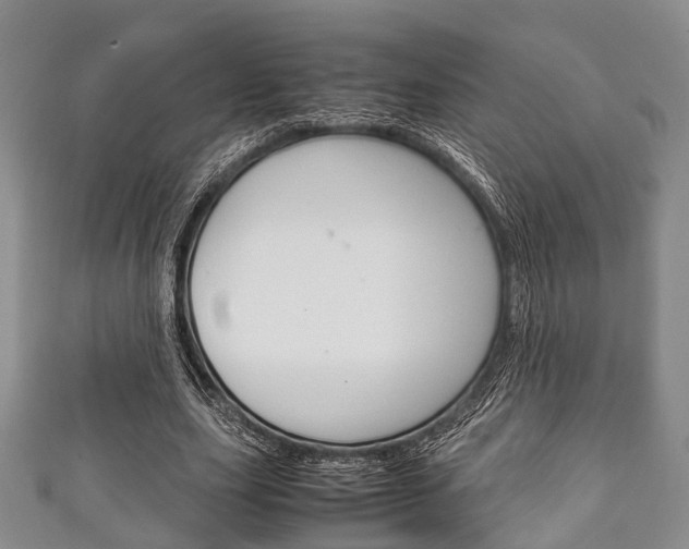 X0000111920631200907271010