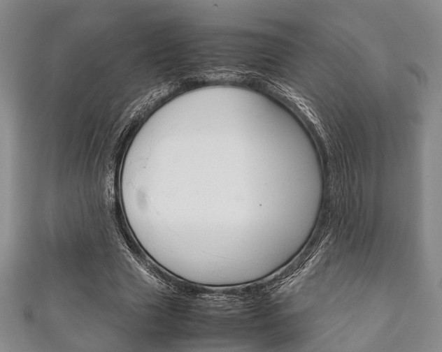 X0000111920633200907271010
