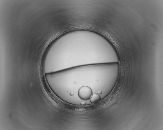 X0000111920634200907271010