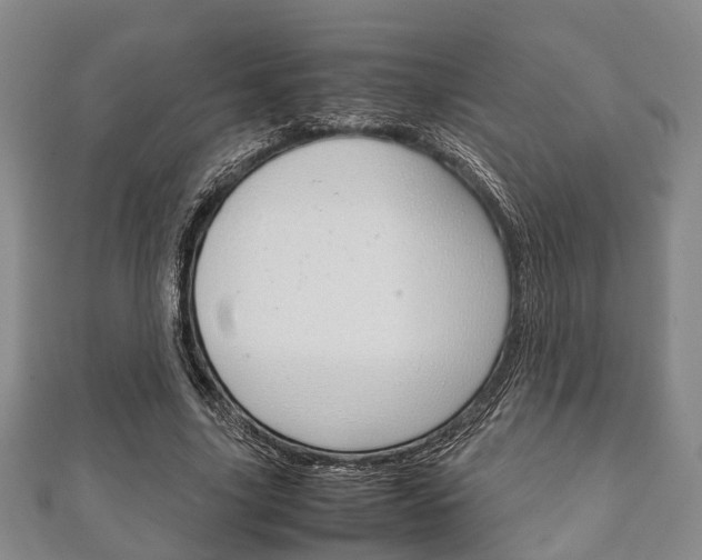 X0000111920635200907271010