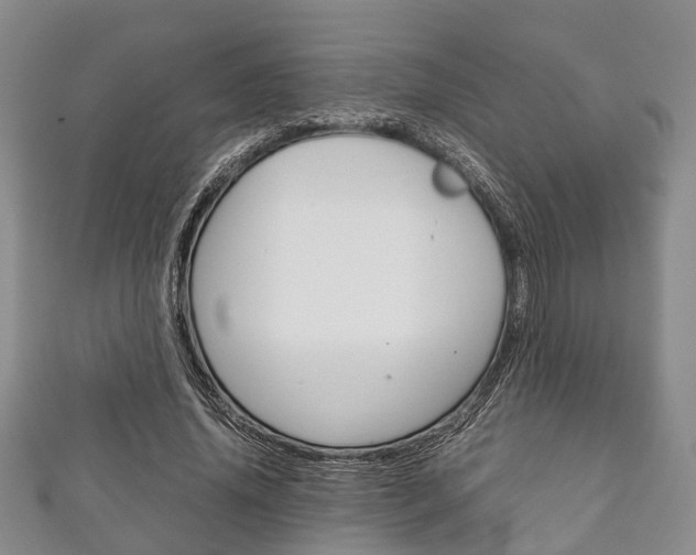 X0000111920636200907271010