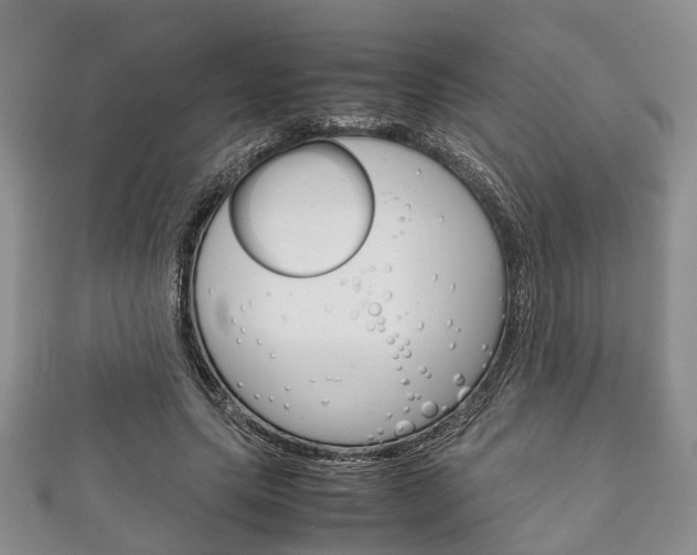 X0000111920639200907271010