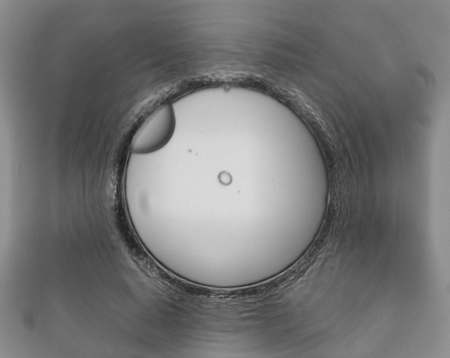 X0000111920640200907271010