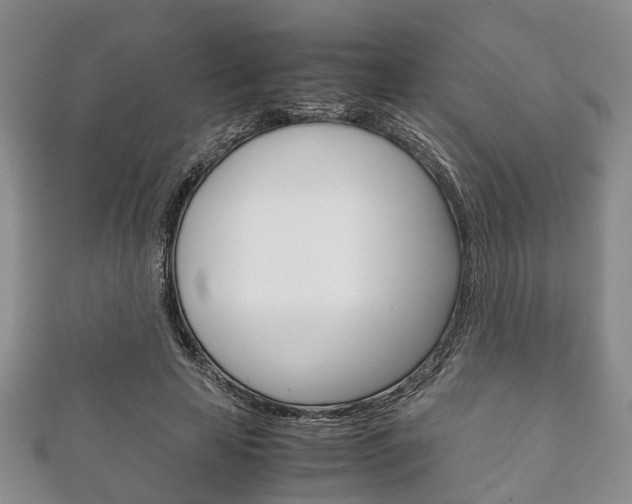 X0000111920641200907271010