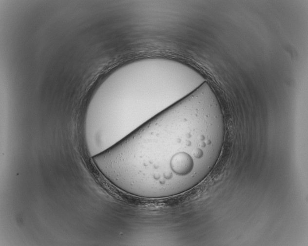 X0000111920642200907271010