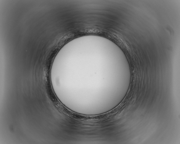X0000111920643200907271010