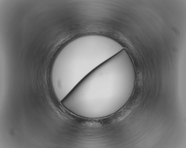 X0000111920644200907271010
