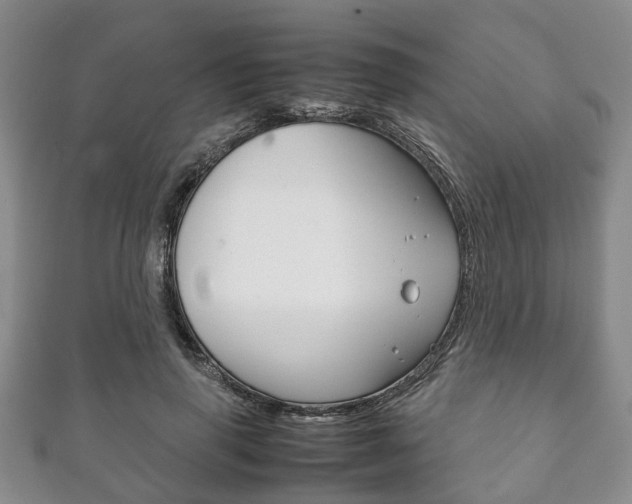 X0000111920645200907271010