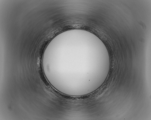 X0000111920646200907271010