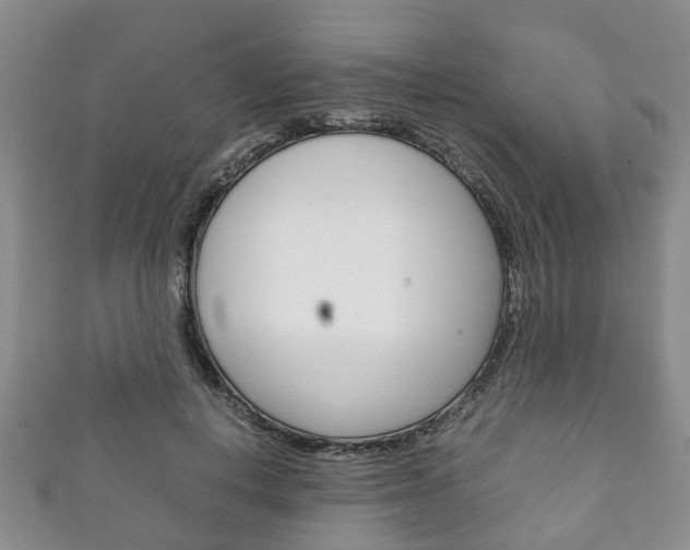 X0000111920648200907271010