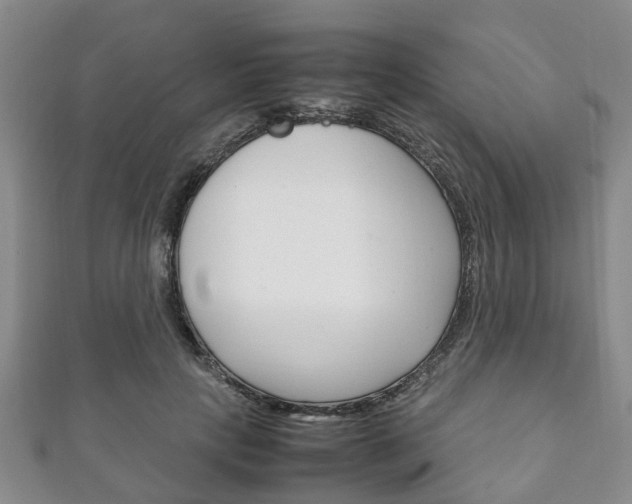 X0000111920649200907271010