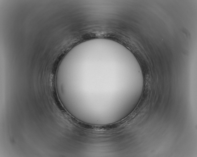 X0000111920650200907271010