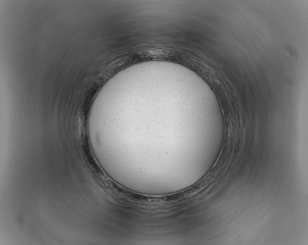 X0000111920651200907271010