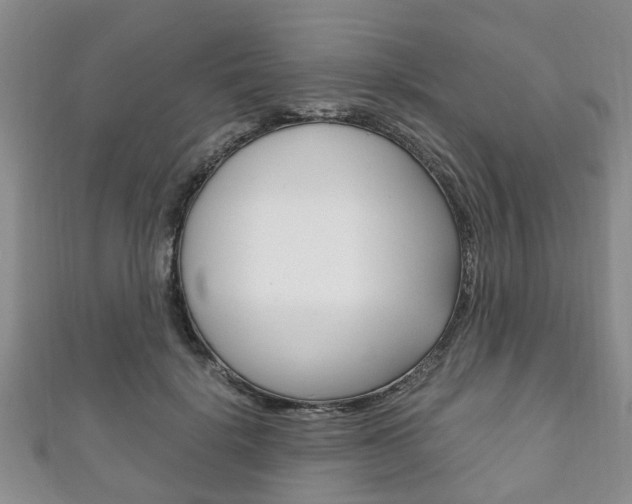 X0000111920652200907271010