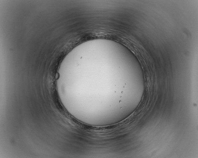 X0000111920653200907271010