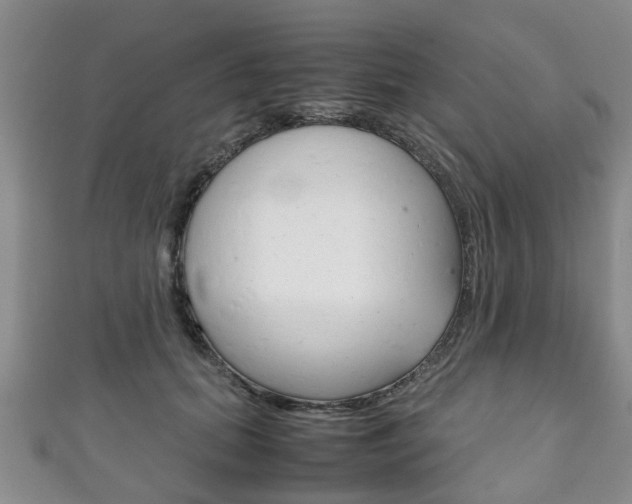X0000111920655200907271010