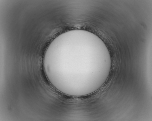 X0000111920656200907271010