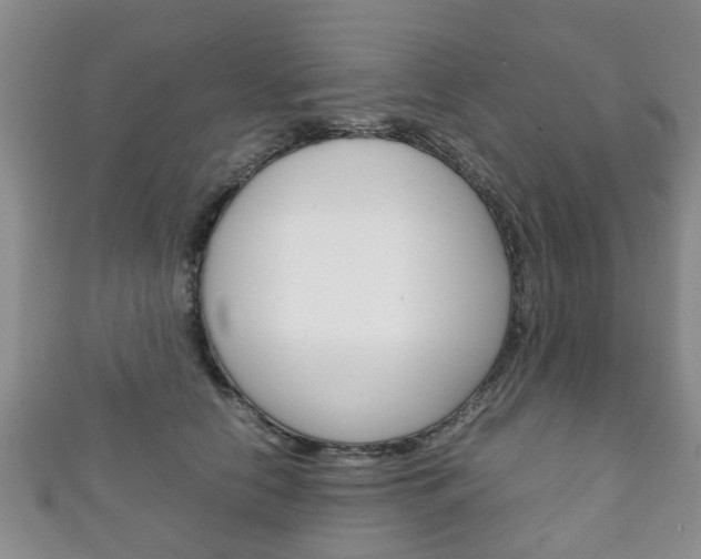 X0000111920658200907271010