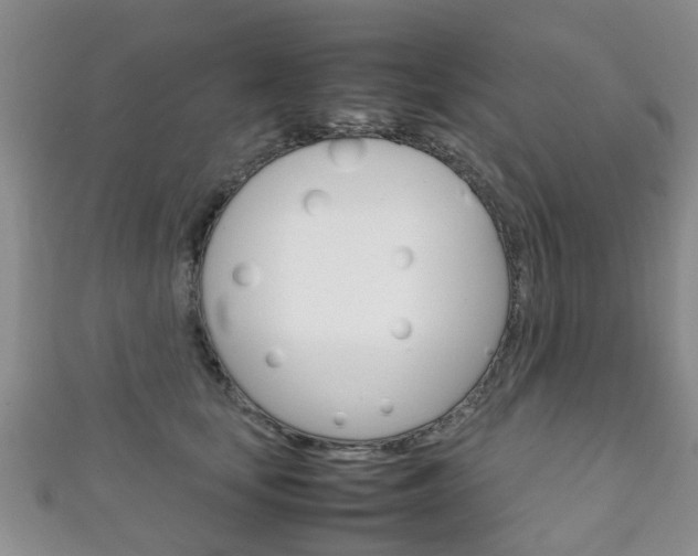 X0000111920659200907271010