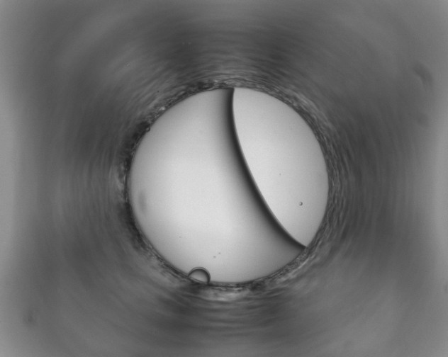 X0000111920661200907271010