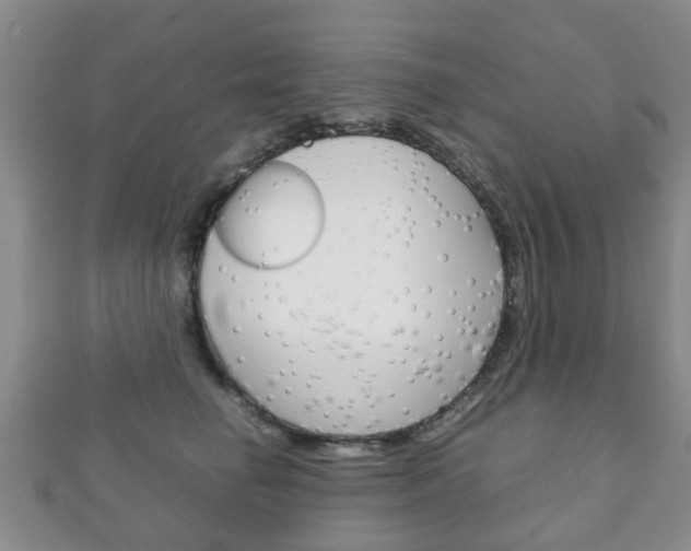 X0000111920662200907271010