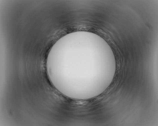 X0000111920663200907271010