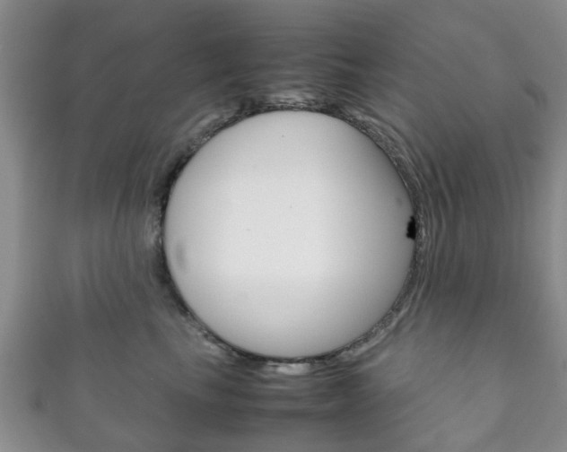 X0000111920665200907271010