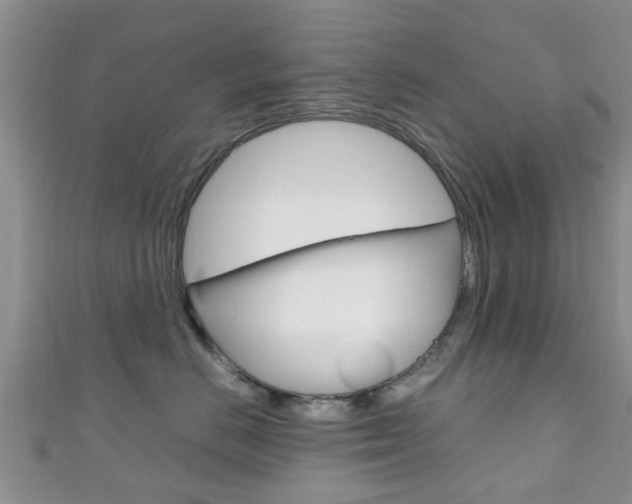 X0000111920670200907271010