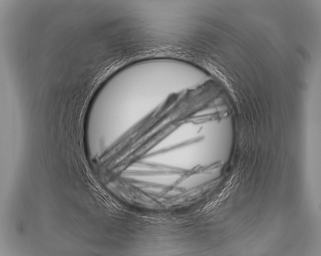 X0000111920673200907271010