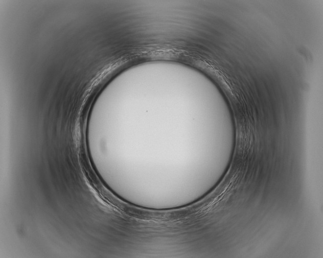 X0000111920674200907271010