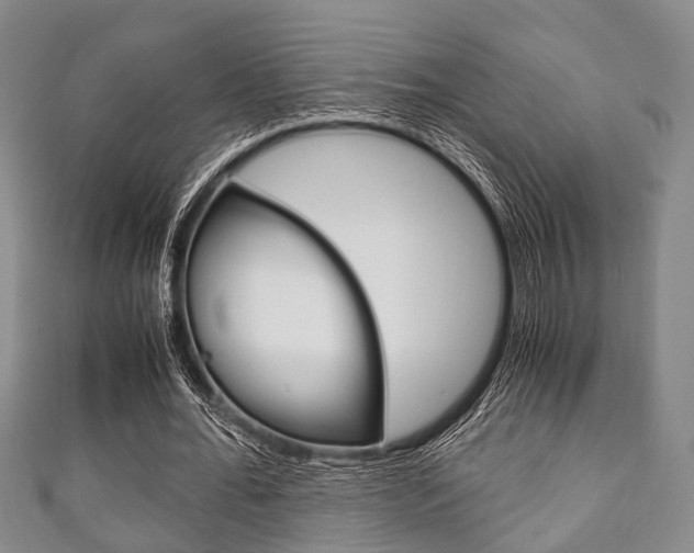 X0000111920676200907271010