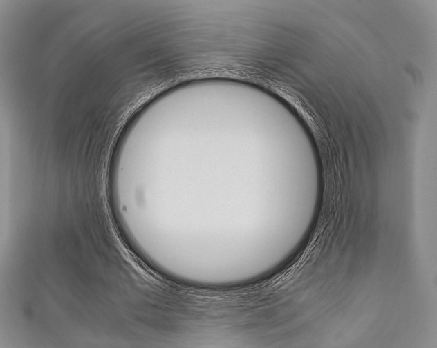 X0000111920677200907271010