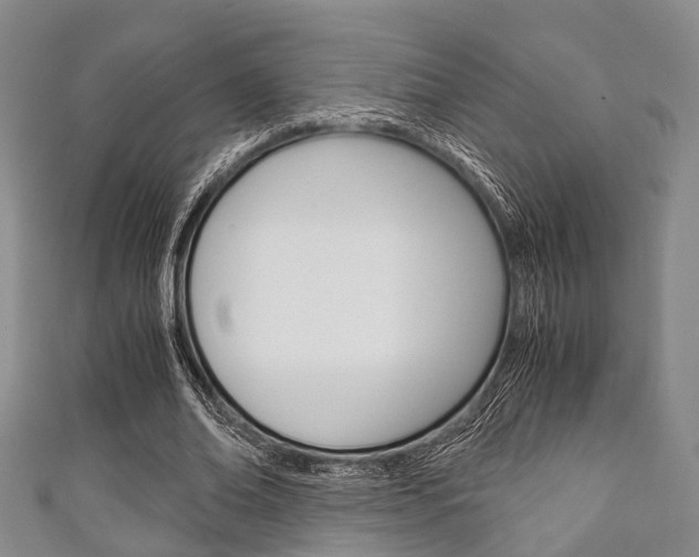 X0000111920678200907271010