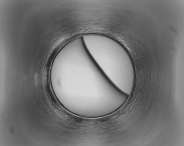 X0000111920679200907271010