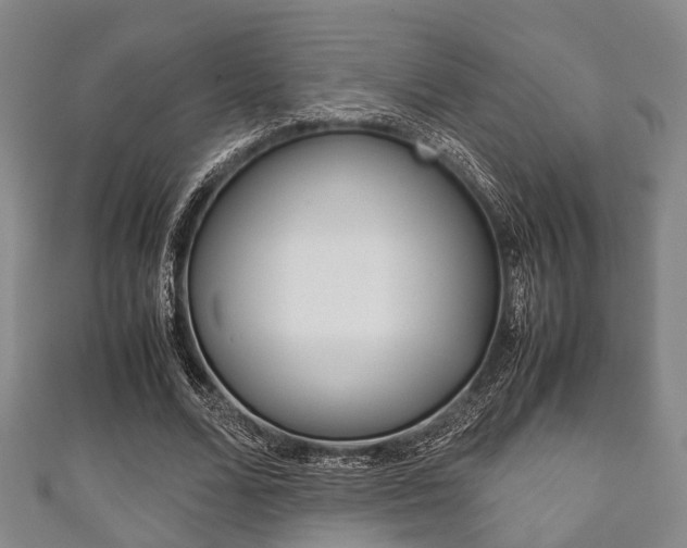 X0000111920680200907271010