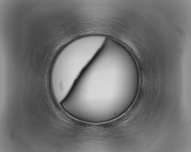 X0000111920681200907271010